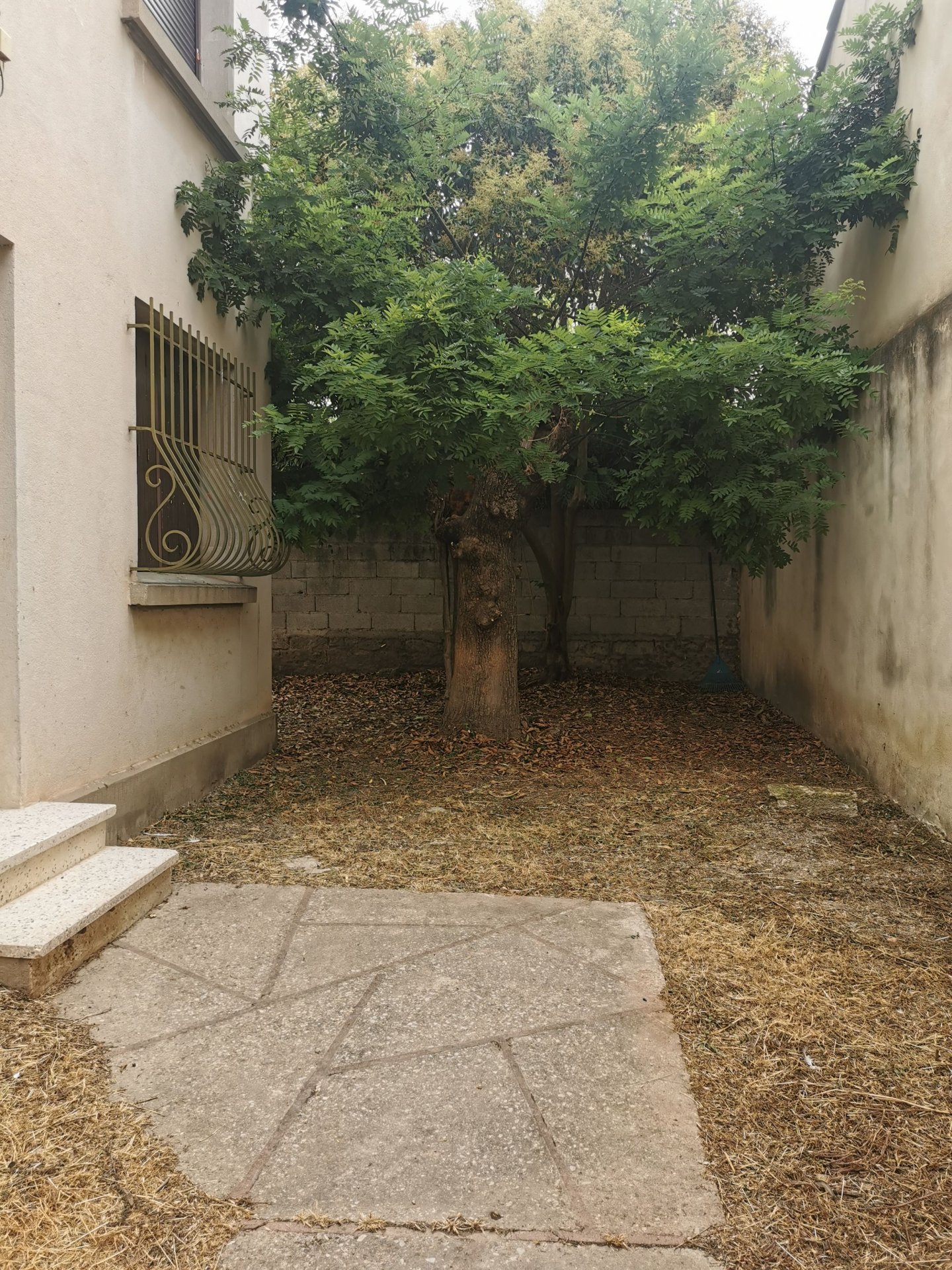 Miniature 3